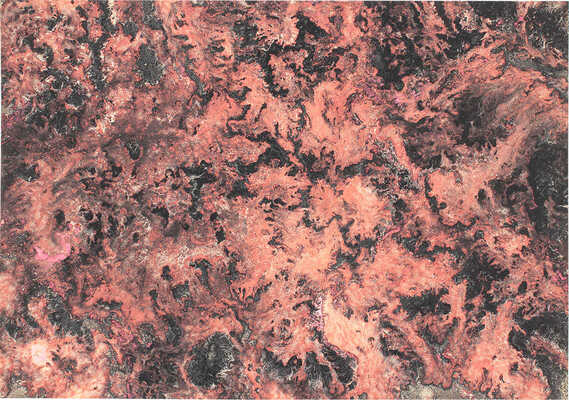 Тарханов Михаил Михайлович. Композиция в красных тонах